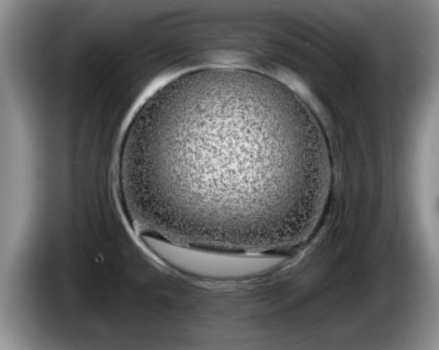 X0000085071432200703121632