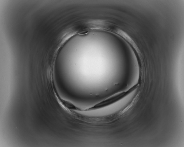 X0000085071433200703121632