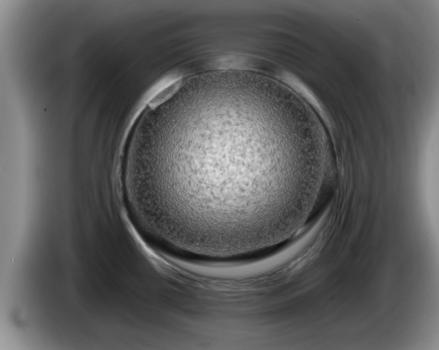 X0000085071434200703121632