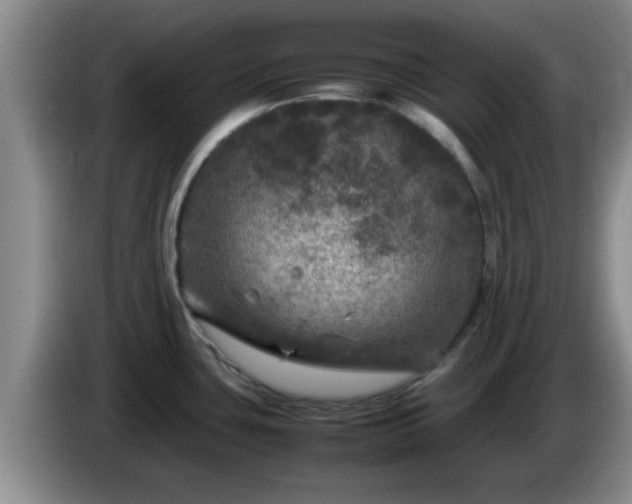 X0000085071435200703121632