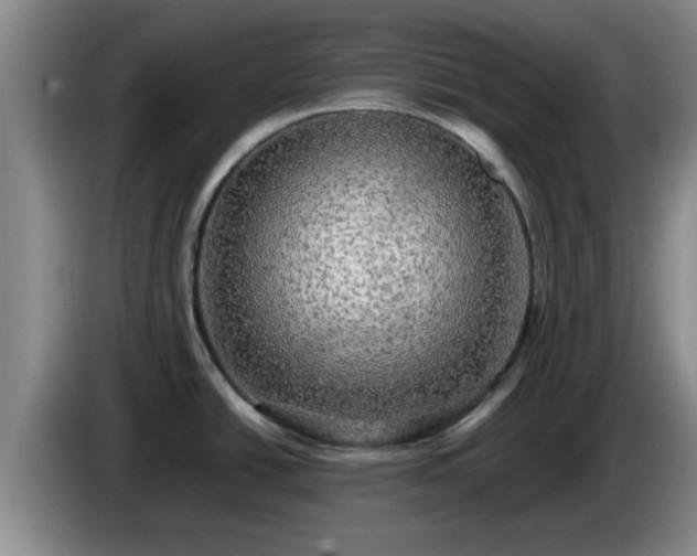 X0000085071438200703121632