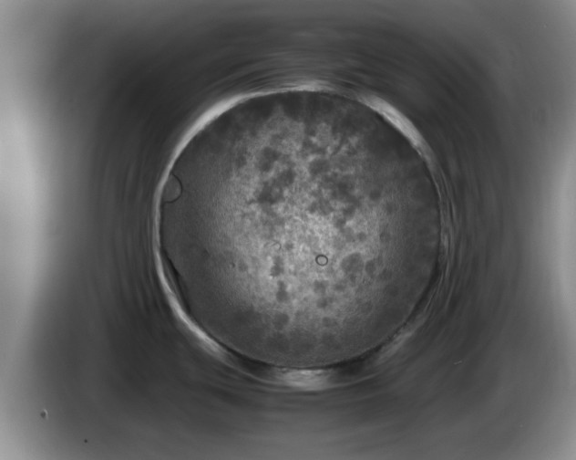 X0000085071439200703121632