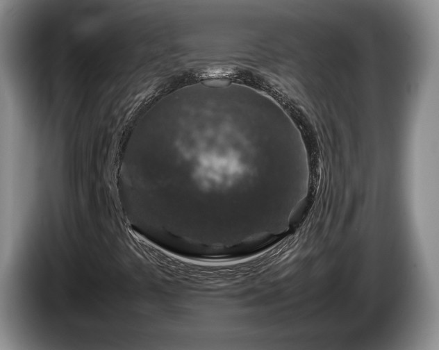 X0000085071441200703121632