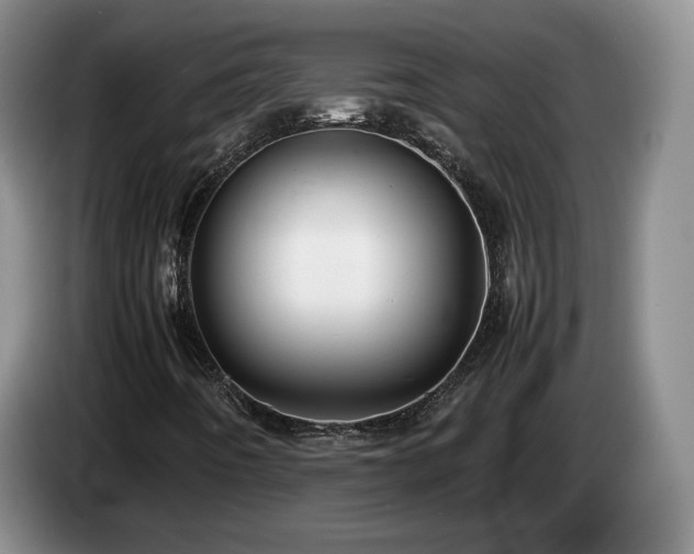 X0000085071442200703121632