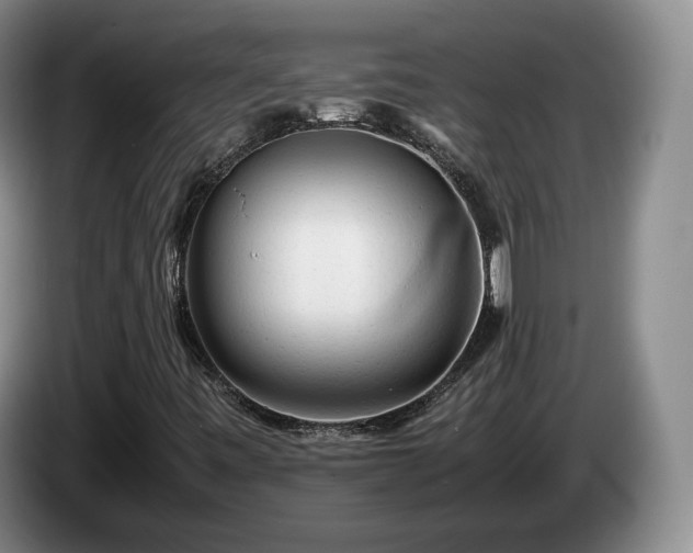 X0000085071443200703121632