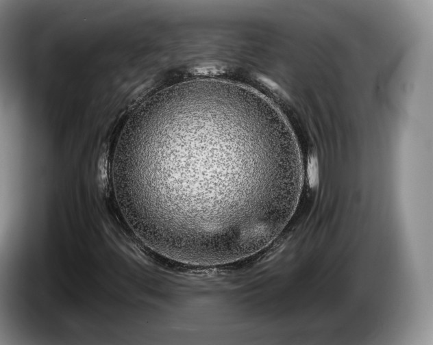 X0000085071444200703121632