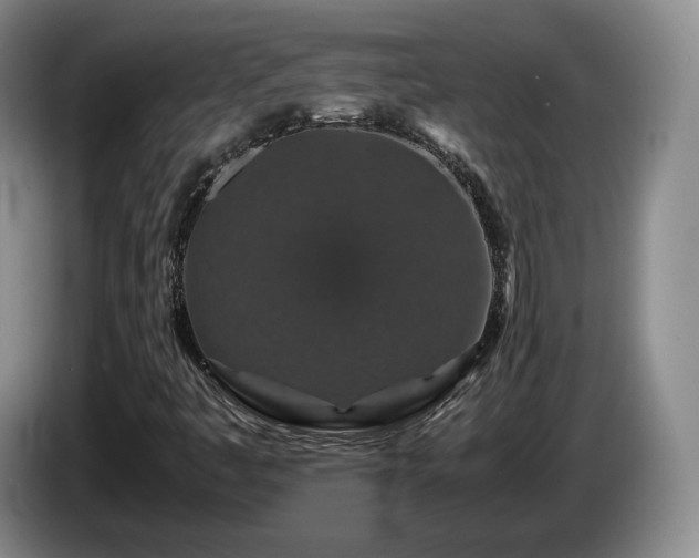 X0000085071445200703121632