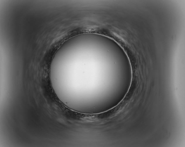 X0000085071447200703121632