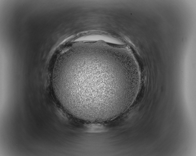 X0000085071448200703121632