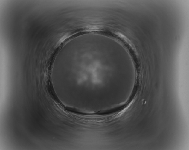 X0000085071449200703121632