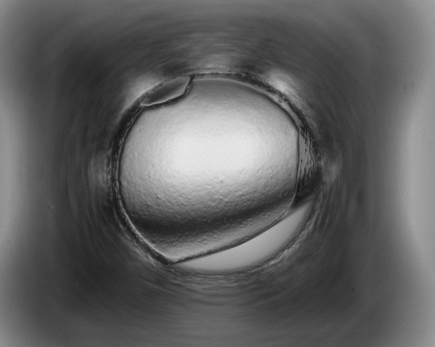 X0000085071450200703121632