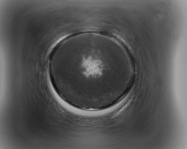 X0000085071453200703121632