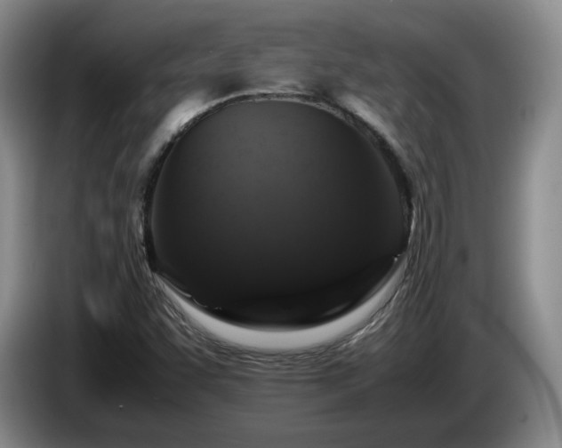 X0000085071455200703121632