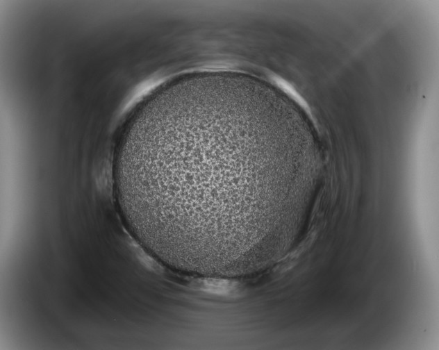 X0000085071456200703121632