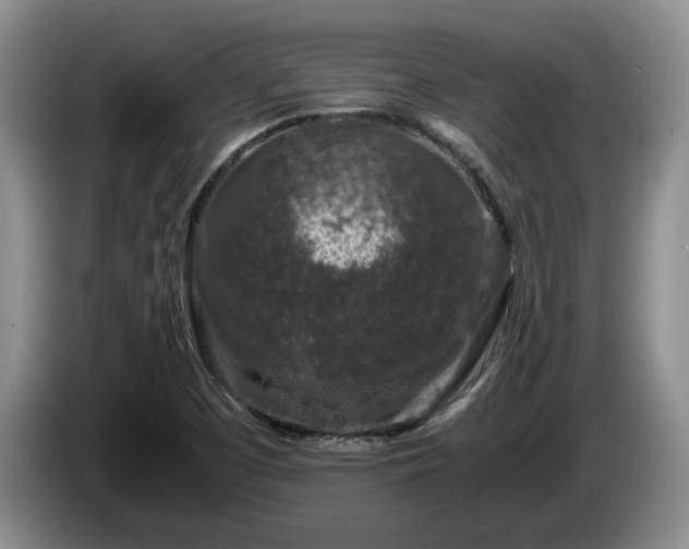 X0000085071457200703121632