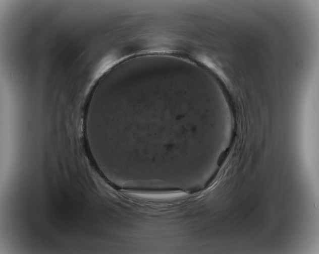 X0000085071459200703121632