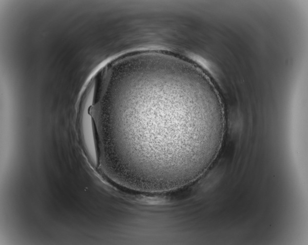 X0000085071460200703121632