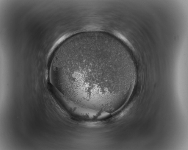 X0000085071461200703121632