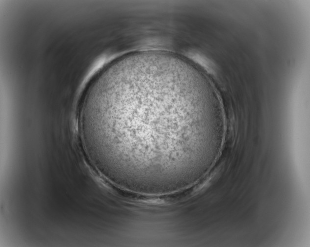 X0000085071462200703121631