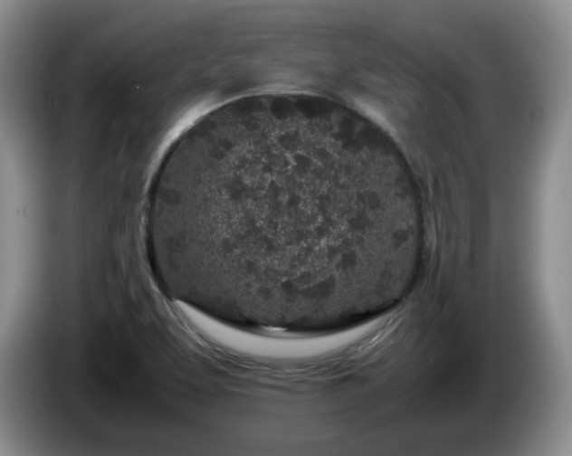 X0000085071463200703121631