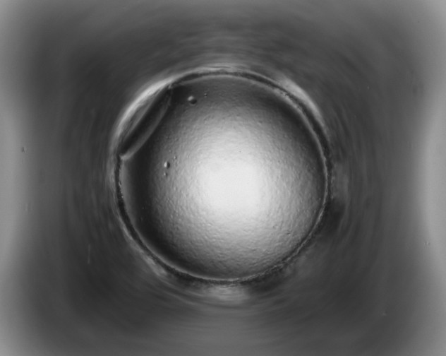 X0000085071464200703121631