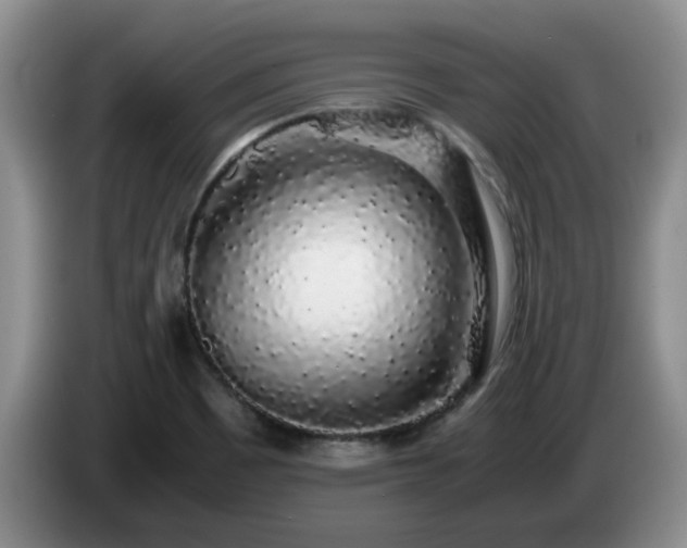 X0000085071465200703121631