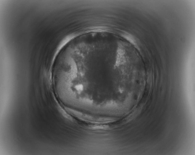 X0000085071466200703121631