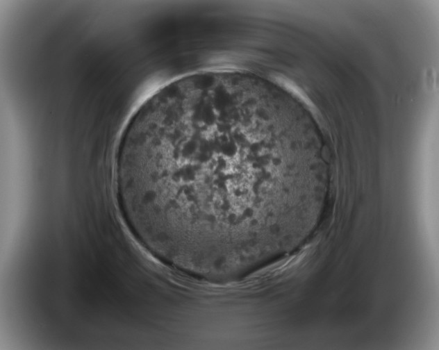 X0000085071467200703121631