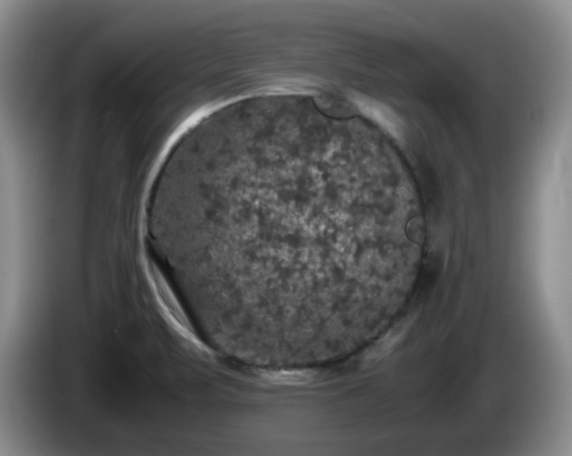 X0000085071471200703121631