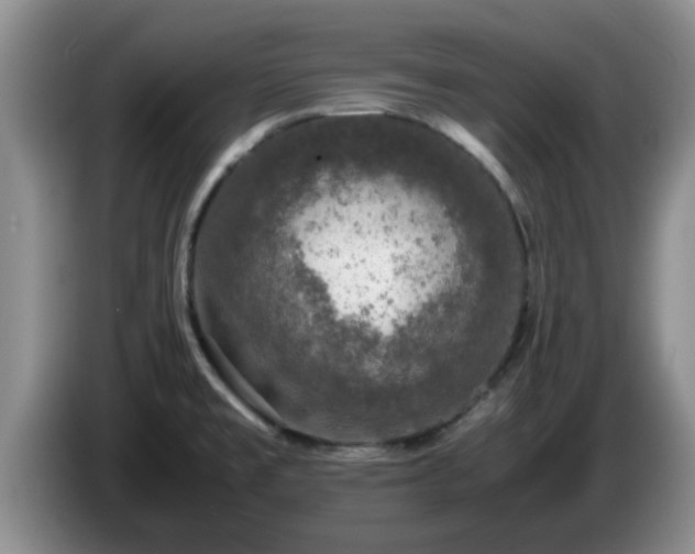 X0000085071477200703121631