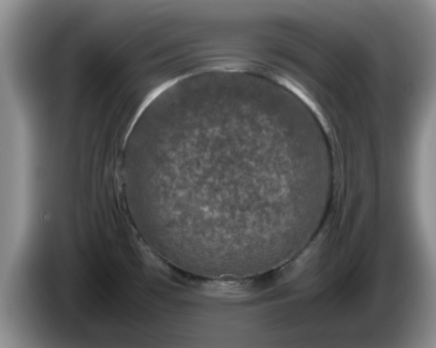 X0000085071481200703121631