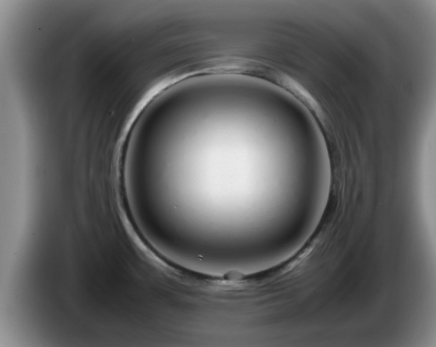 X0000085071483200703121631