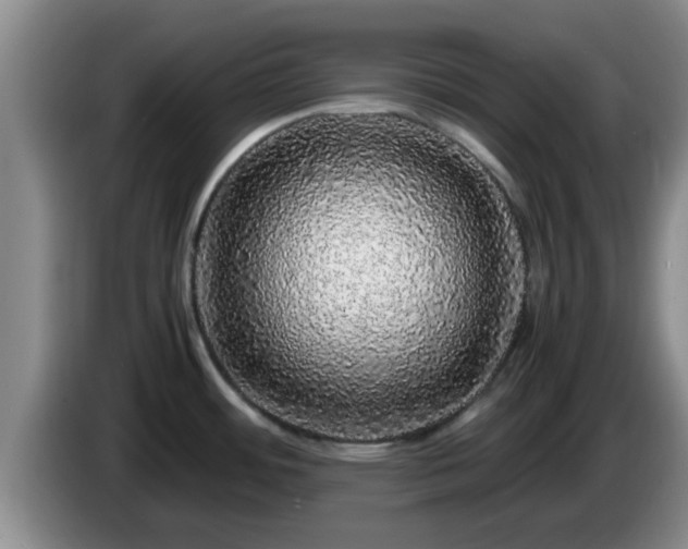 X0000085071484200703121631