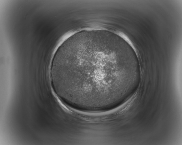 X0000085071485200703121631