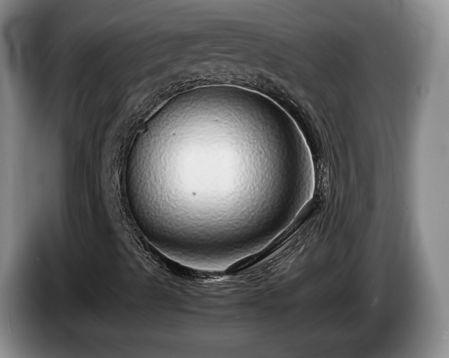 X0000085071489200703121631