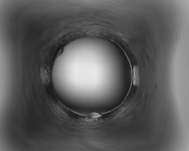 X0000085071491200703121631