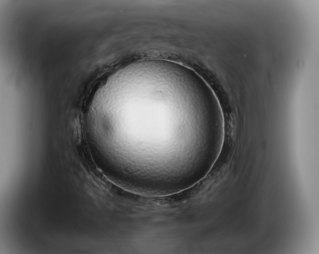 X0000085071493200703121631