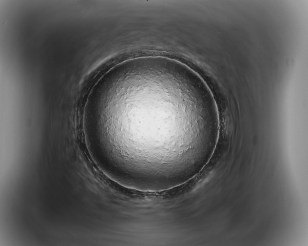 X0000085071494200703121631