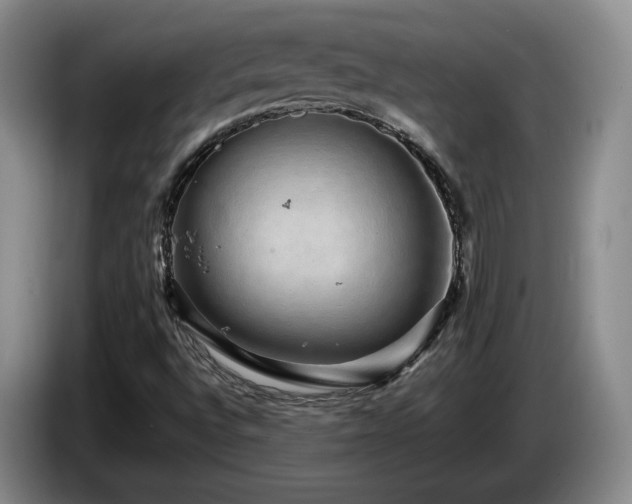 X0000085071496200703121631