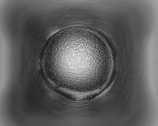 X0000085071497200703121631