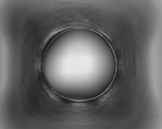 X0000085071499200703121631