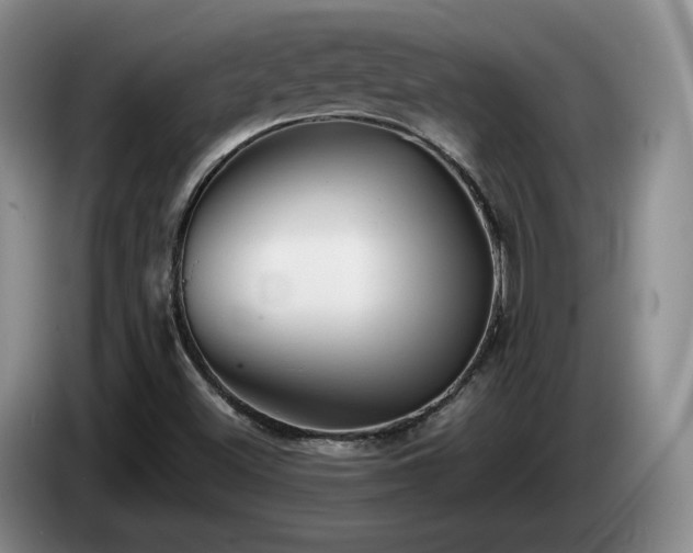 X0000085071500200703121631