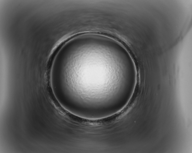 X0000085071501200703121631