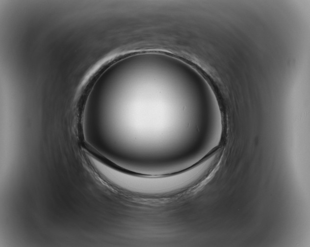 X0000085071502200703121631