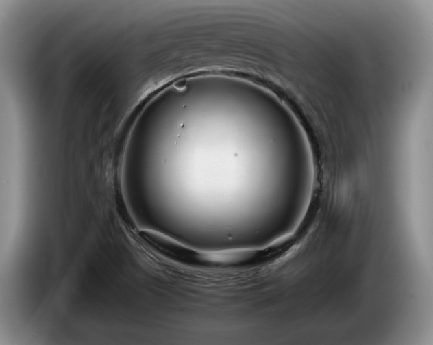 X0000085071505200703121631