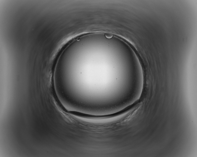 X0000085071507200703121631