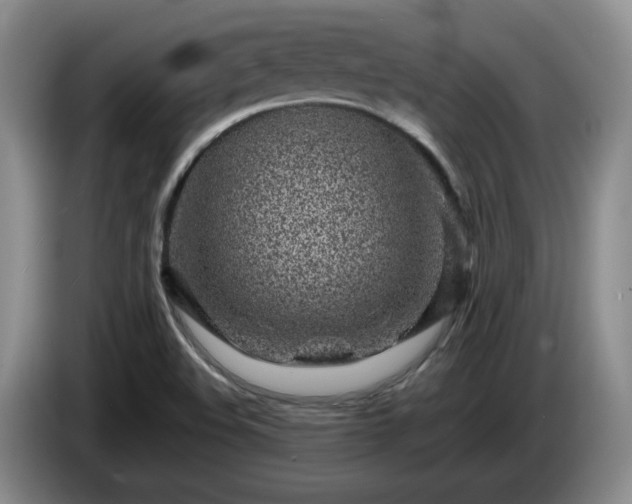 X0000085071508200703121631