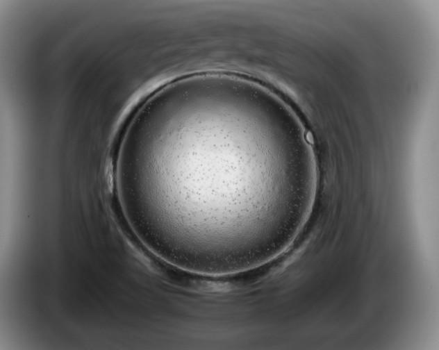 X0000085071509200703121631