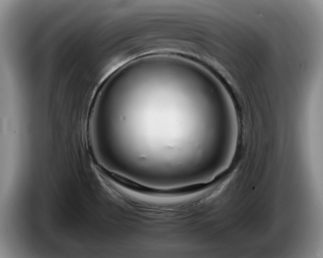 X0000085071513200703121631