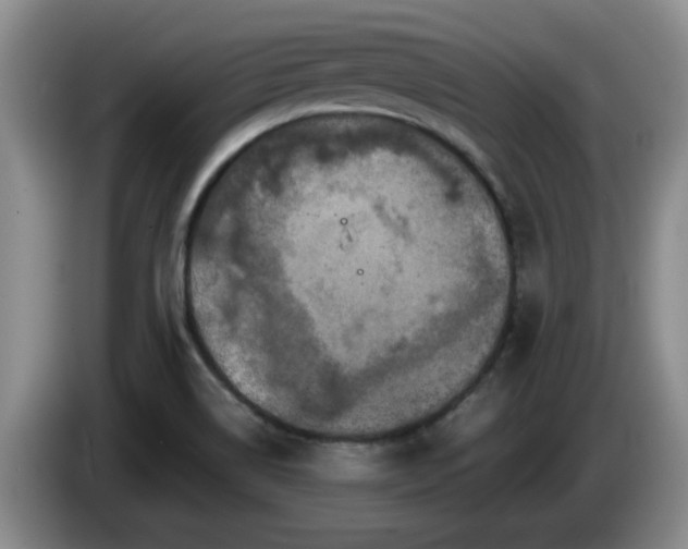 X0000085071514200703121631